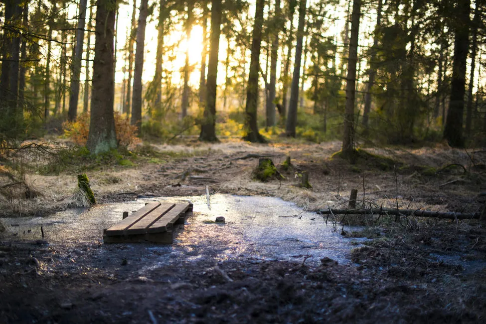 Klicka för att förstora