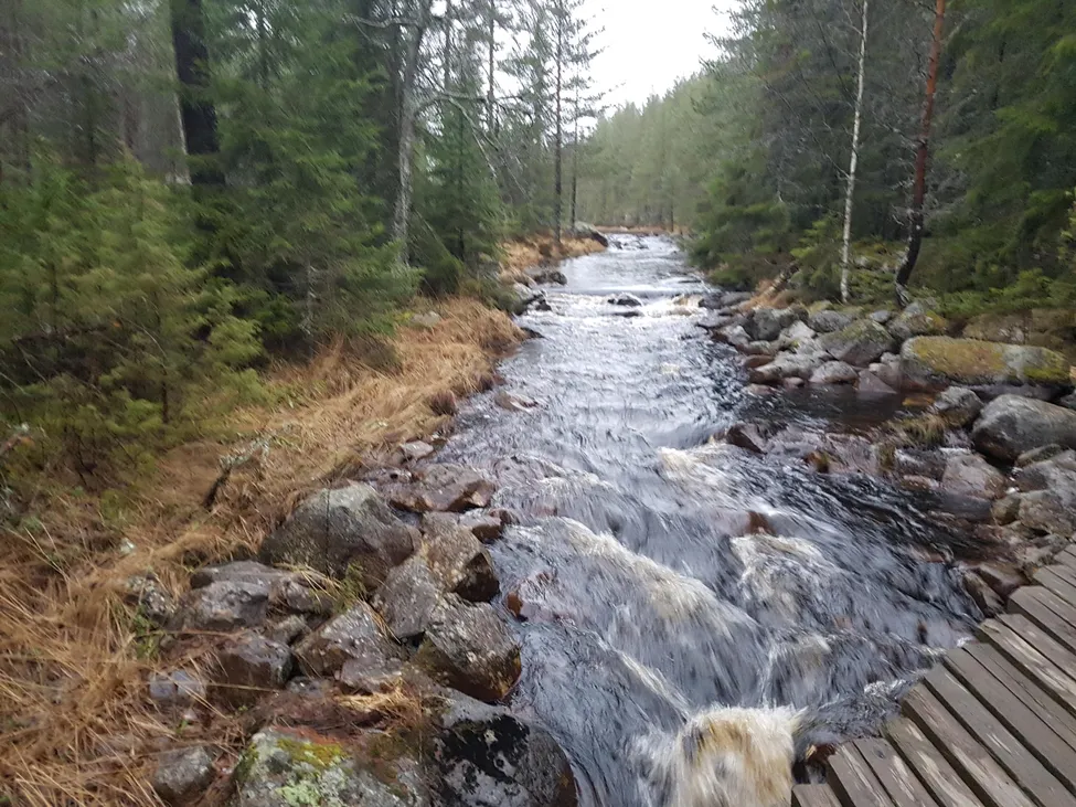 Klicka för att förstora