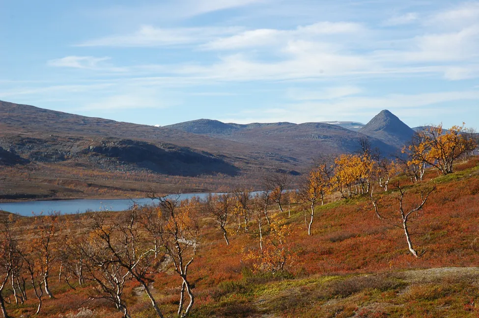 Klicka för att förstora