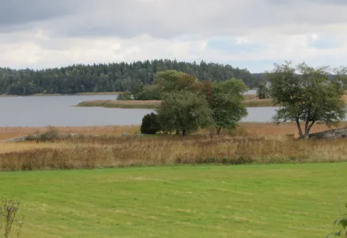 Det var i alla fall myggfritt