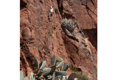 Borja i Guia d'Isora