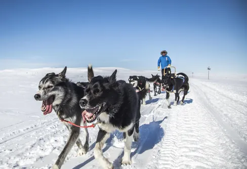 Fjällräven Polar 2016 har startat