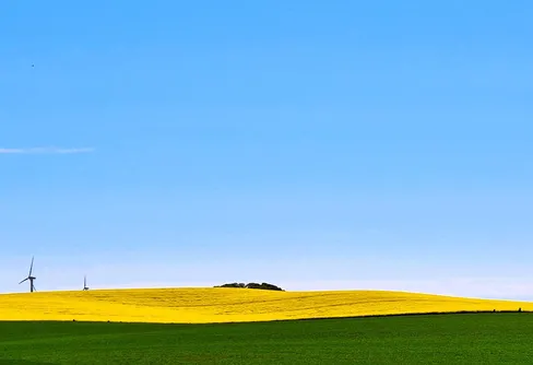 Pannbensvandring -	55 km bland skånska rapsfält