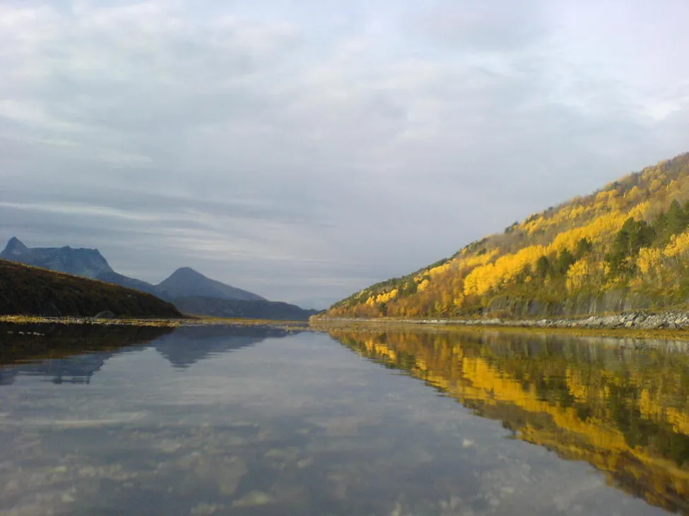 Klicka för att förstora