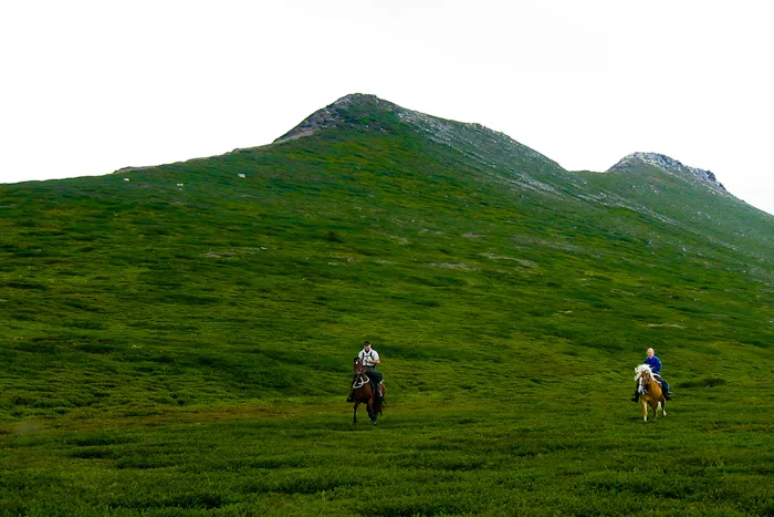 Klicka för att förstora