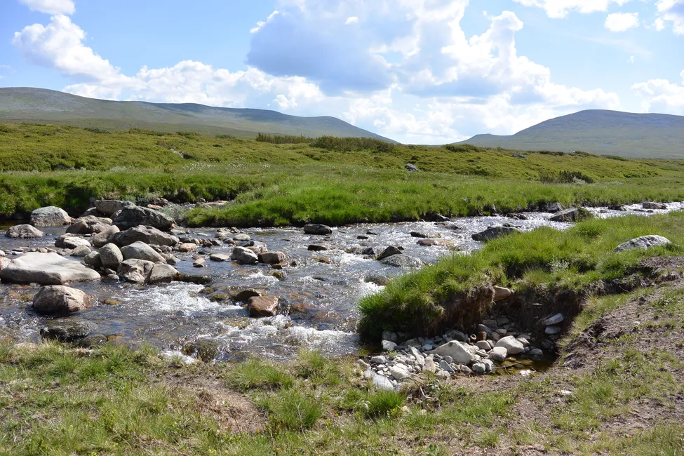 Klicka för att förstora