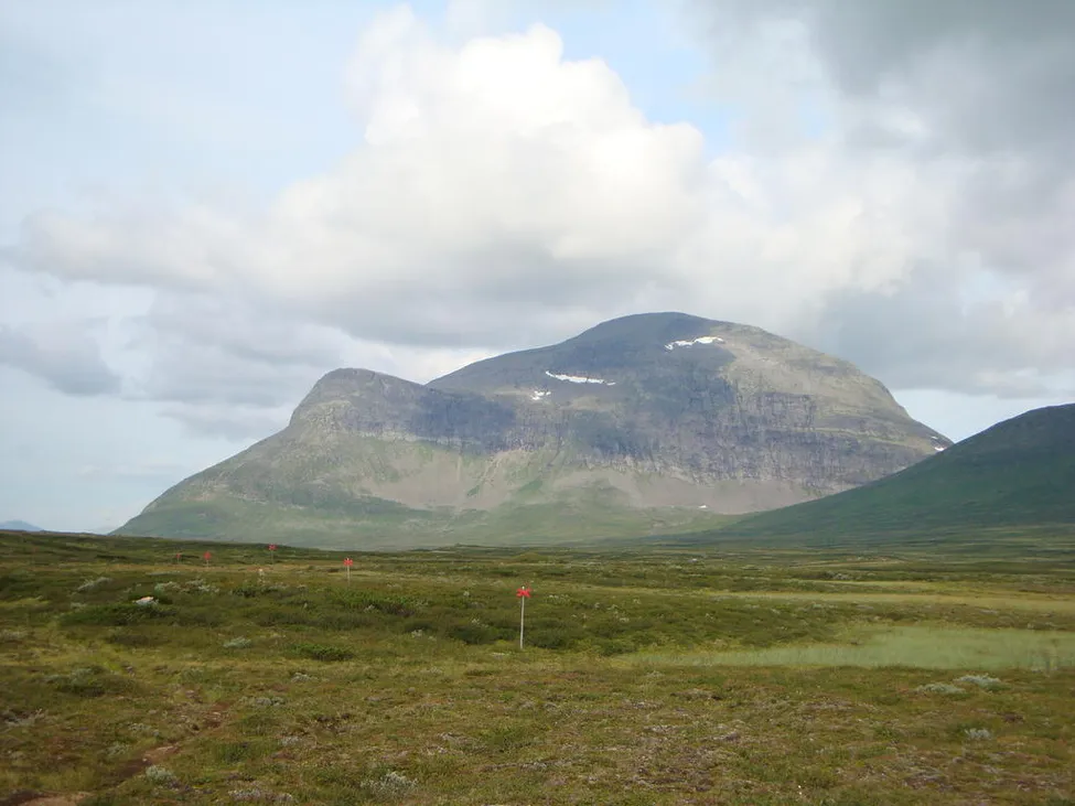 Klicka för att förstora