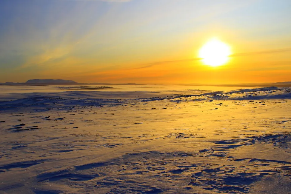 Klicka för att förstora