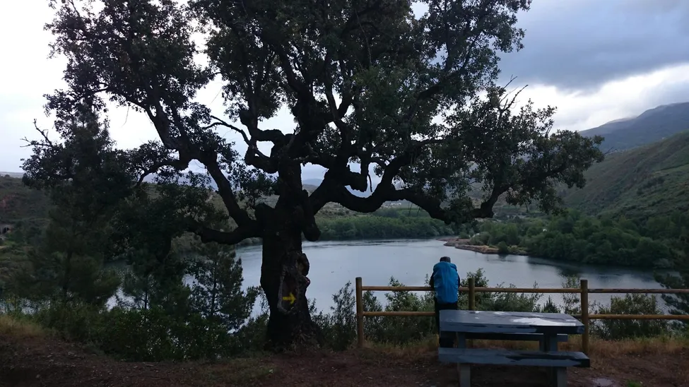 Klicka för att förstora