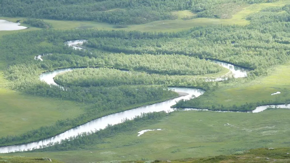 Klicka för att förstora