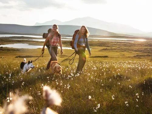 ”Vandra med hund” – ny bok vägleder till lyckade turer med fyrfota sällskap