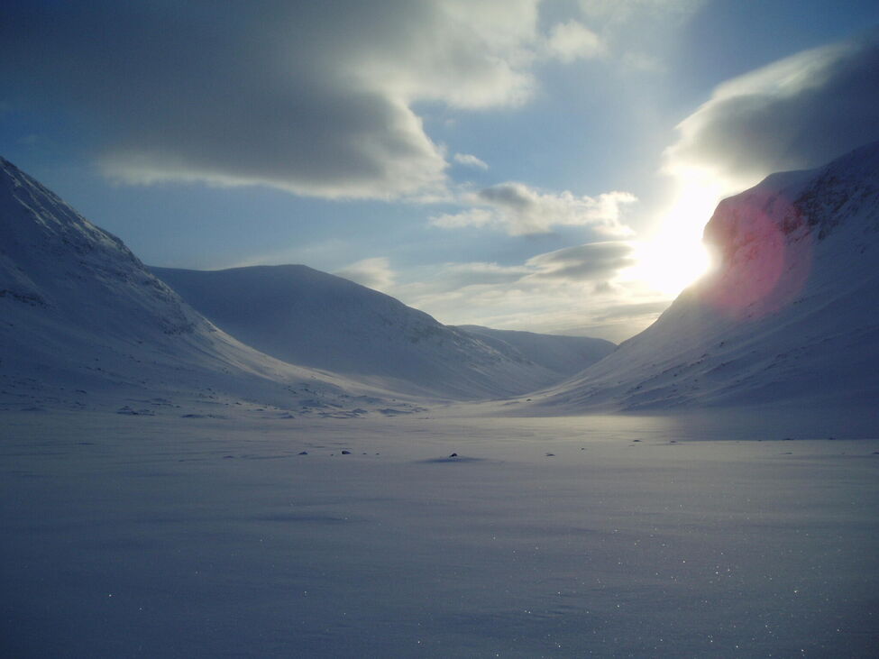 Klicka för att förstora
