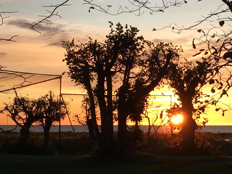 Klicka för att förstora