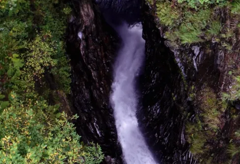 Wilderness - vacker film