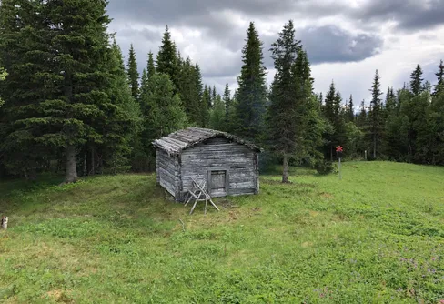 Goda resultat när fjällföretagare fick uppdrag av Länsstyrelsen efter Coronavåren