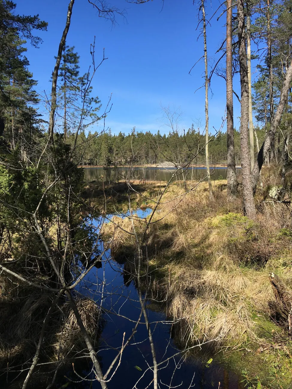 Klicka för att förstora