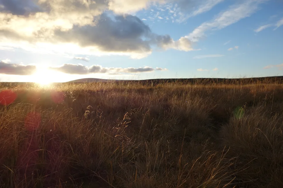 Klicka för att förstora