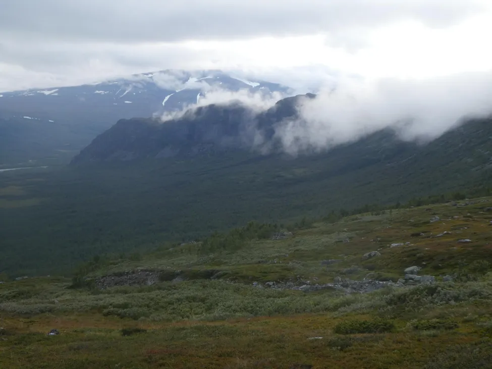 Klicka för att förstora