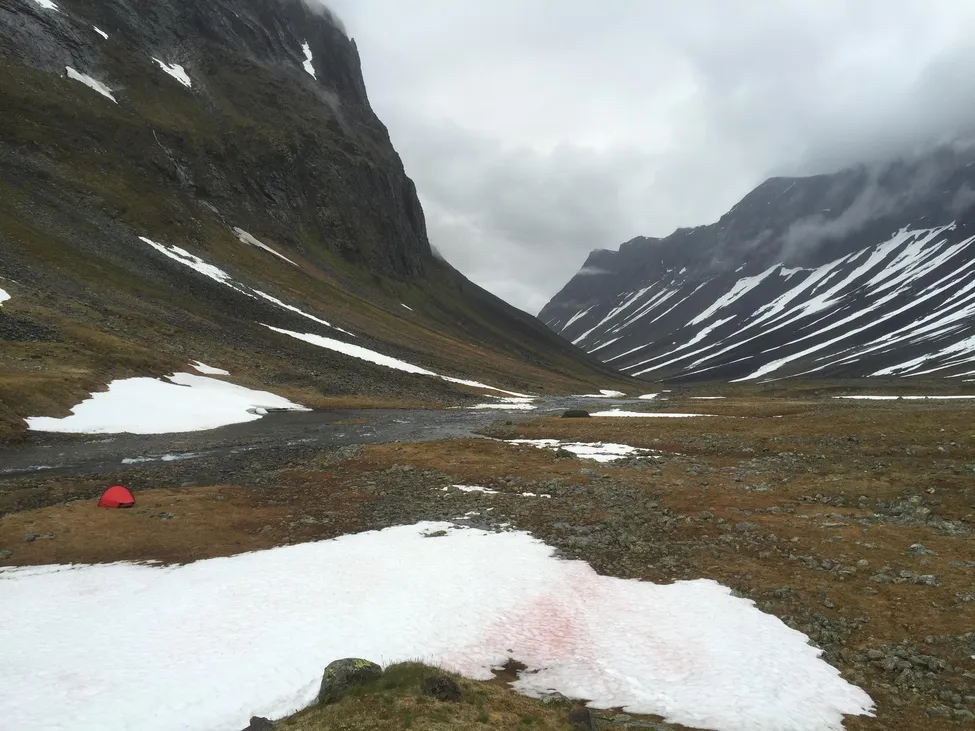 Klicka för att förstora
