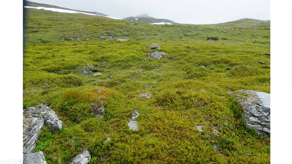 Klicka för att förstora