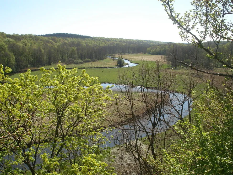Klicka för att förstora