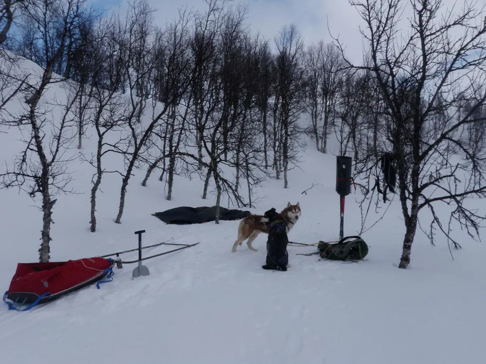 Klicka för att förstora