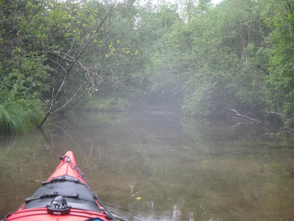 Klicka för att förstora