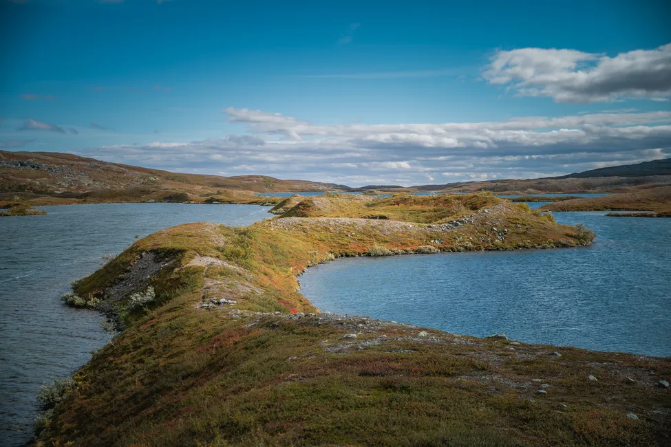 Klicka för att förstora