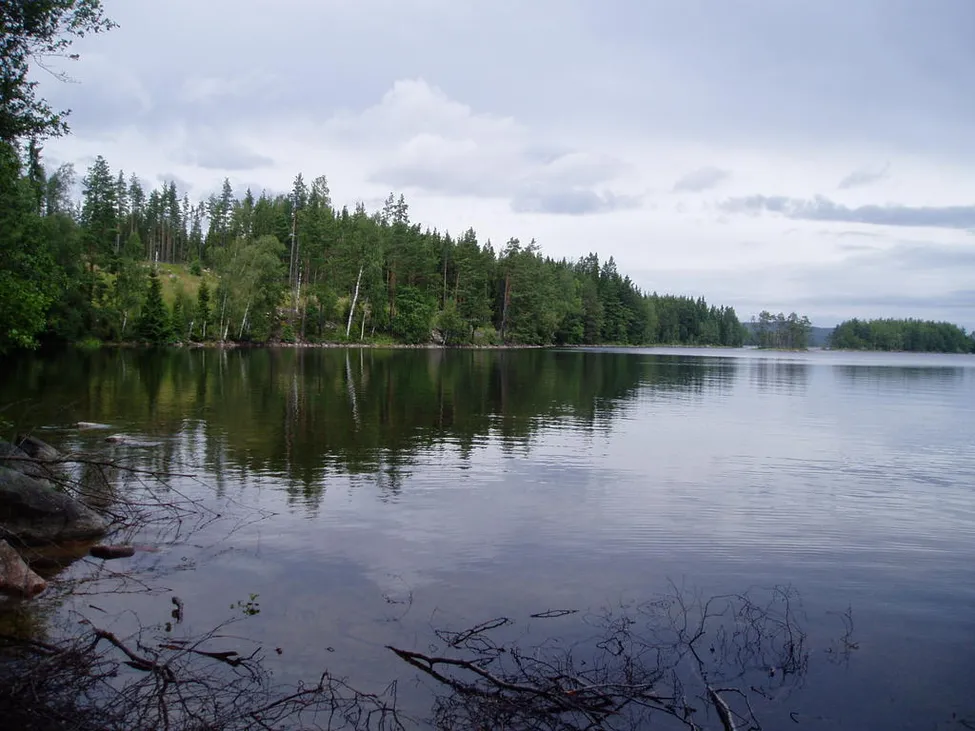 Klicka för att förstora