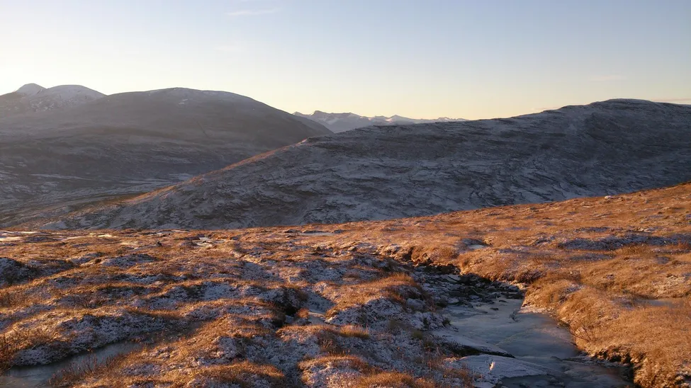 Klicka för att förstora