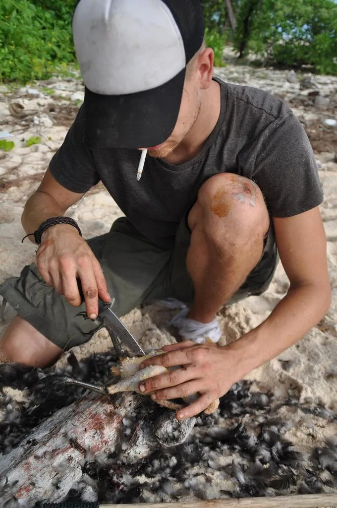 Klicka för att förstora