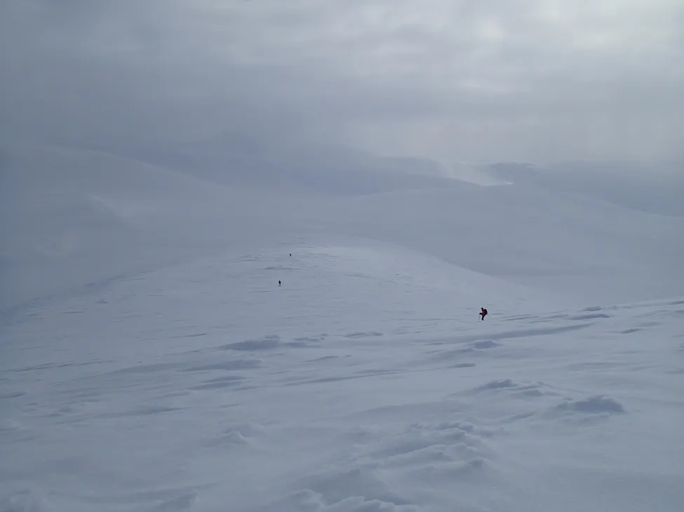 Klicka för att förstora