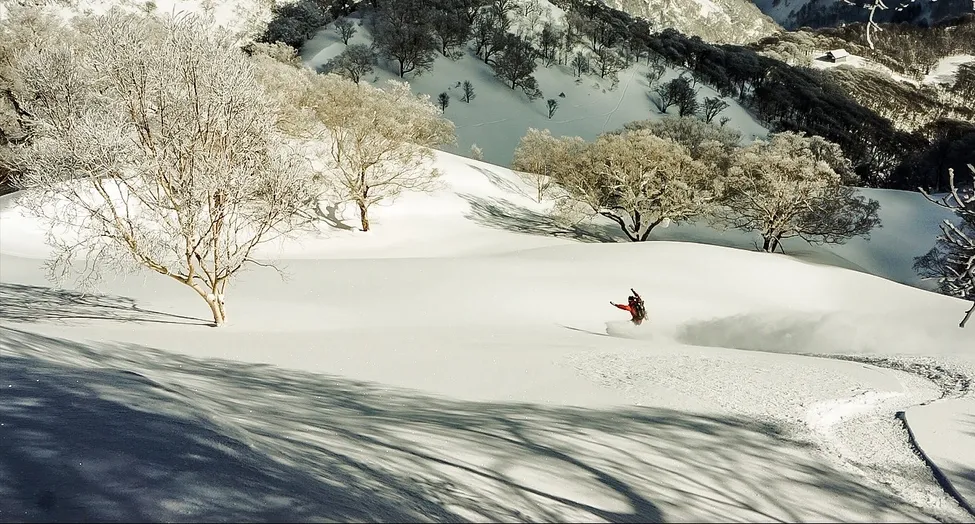 Klicka för att förstora