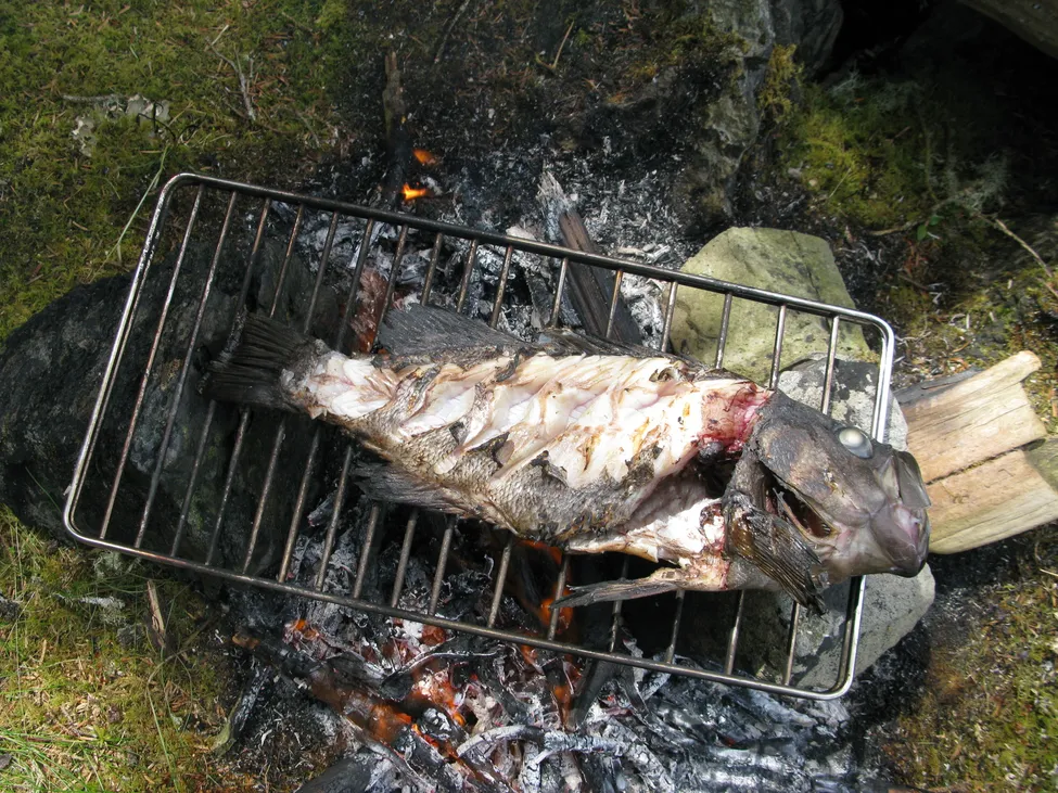 Klicka för att förstora