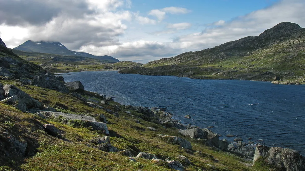 Klicka för att förstora