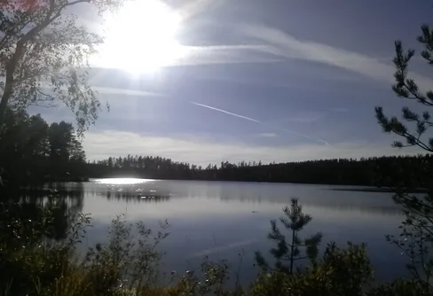 Skogskurs för tjejer i Skinnskatteberg