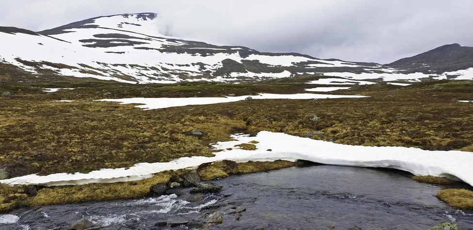 Klicka för att förstora