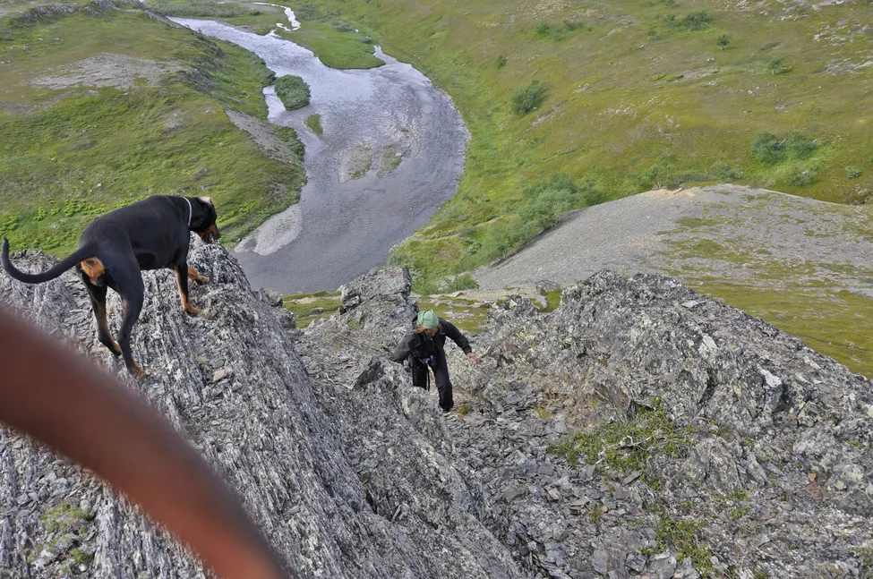 Klicka för att förstora