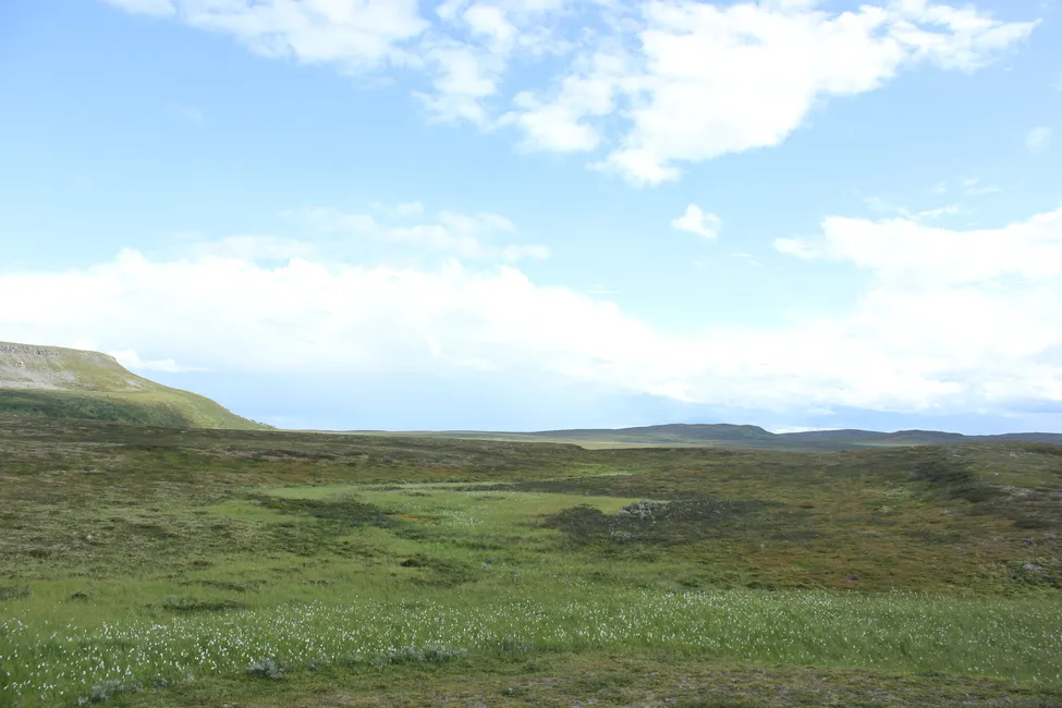 Klicka för att förstora