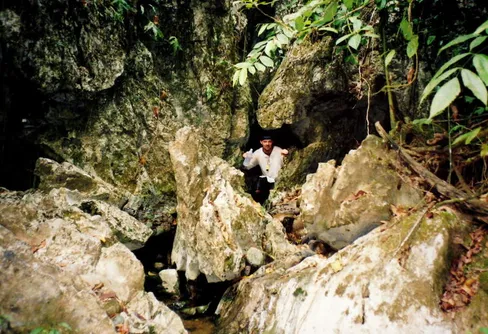 Djungellycka funnen i en lian...