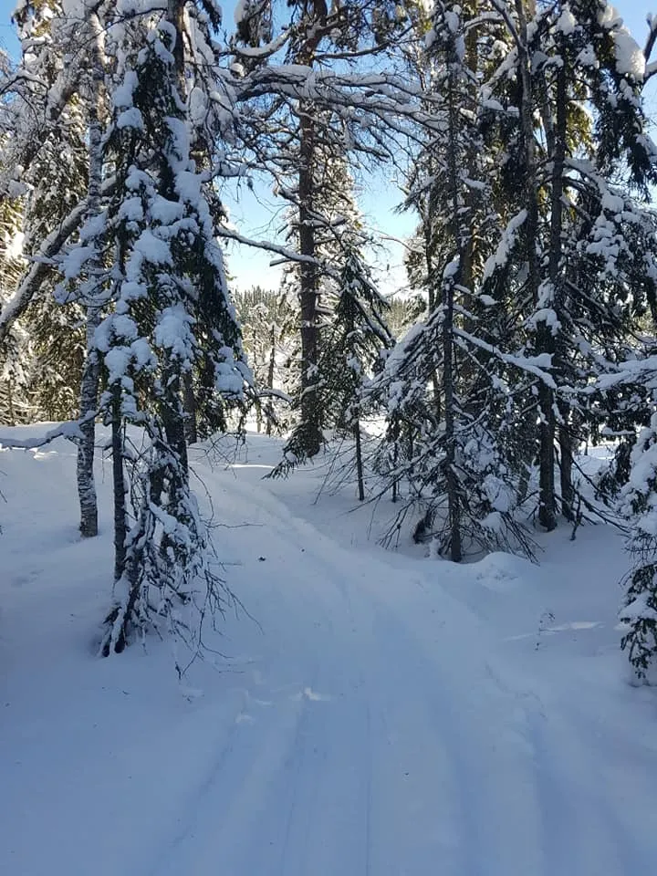 Klicka för att förstora