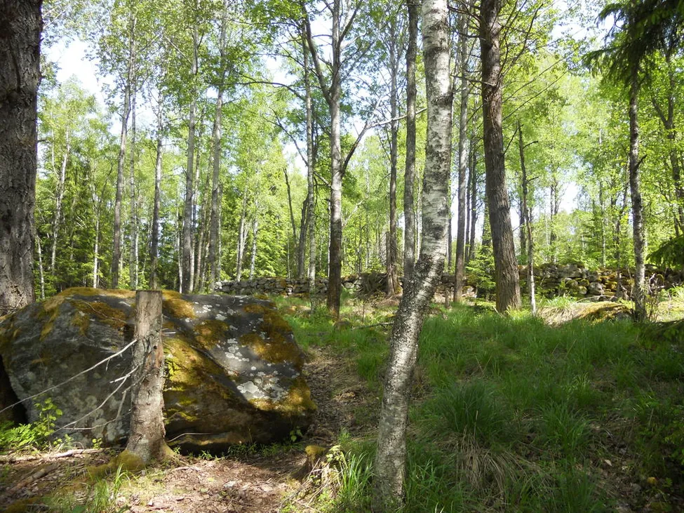 Klicka för att förstora