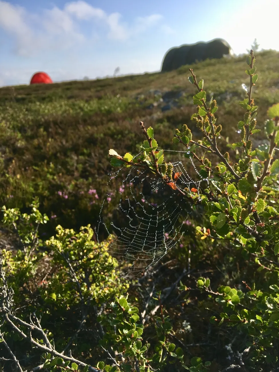 Klicka för att förstora