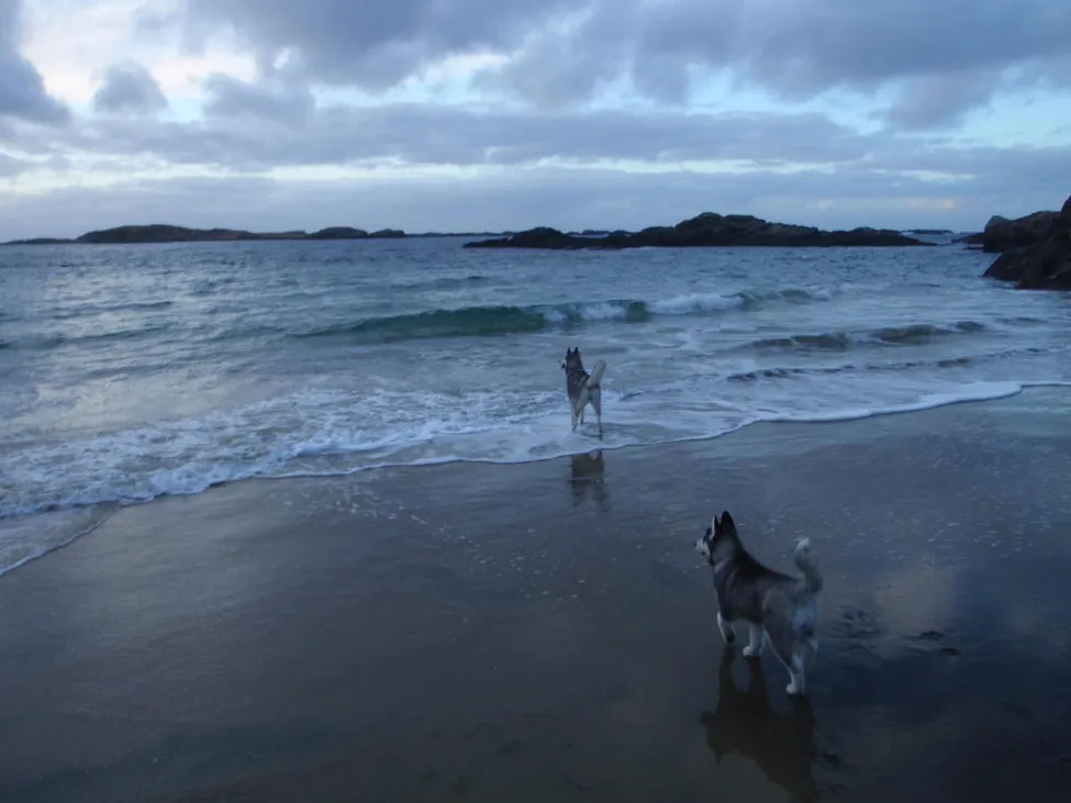 Klicka för att förstora