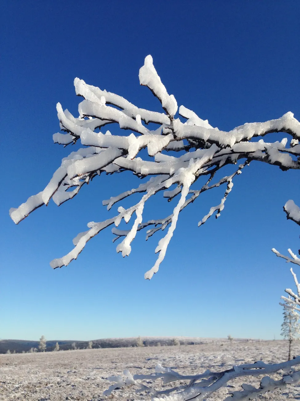 Klicka för att förstora