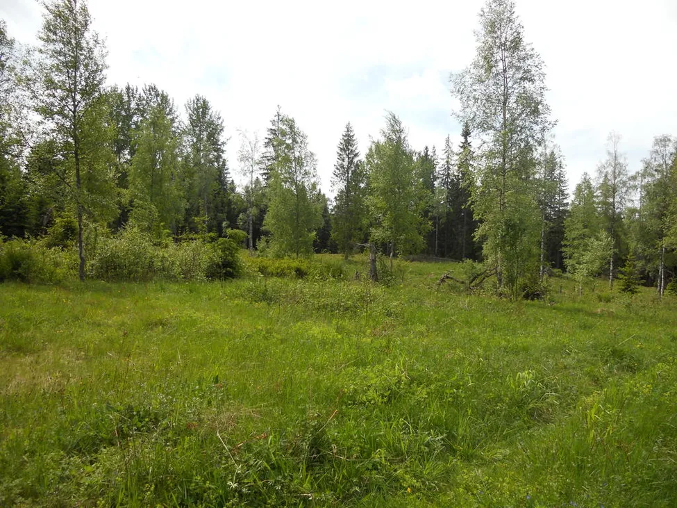 Klicka för att förstora