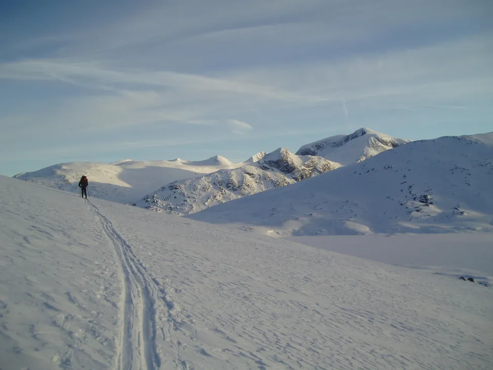 Klicka för att förstora