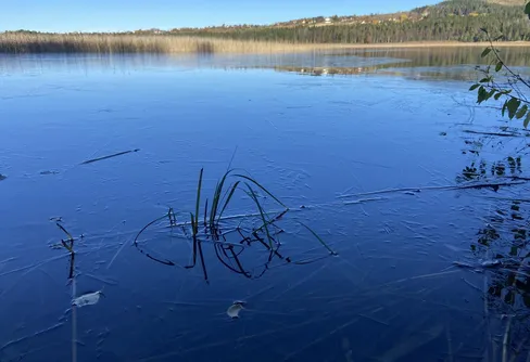Höstpromenad på Frösön 241012