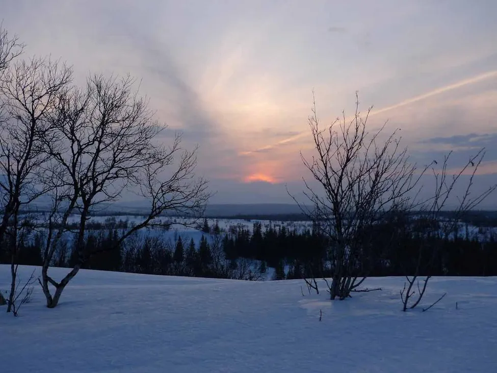 Klicka för att förstora