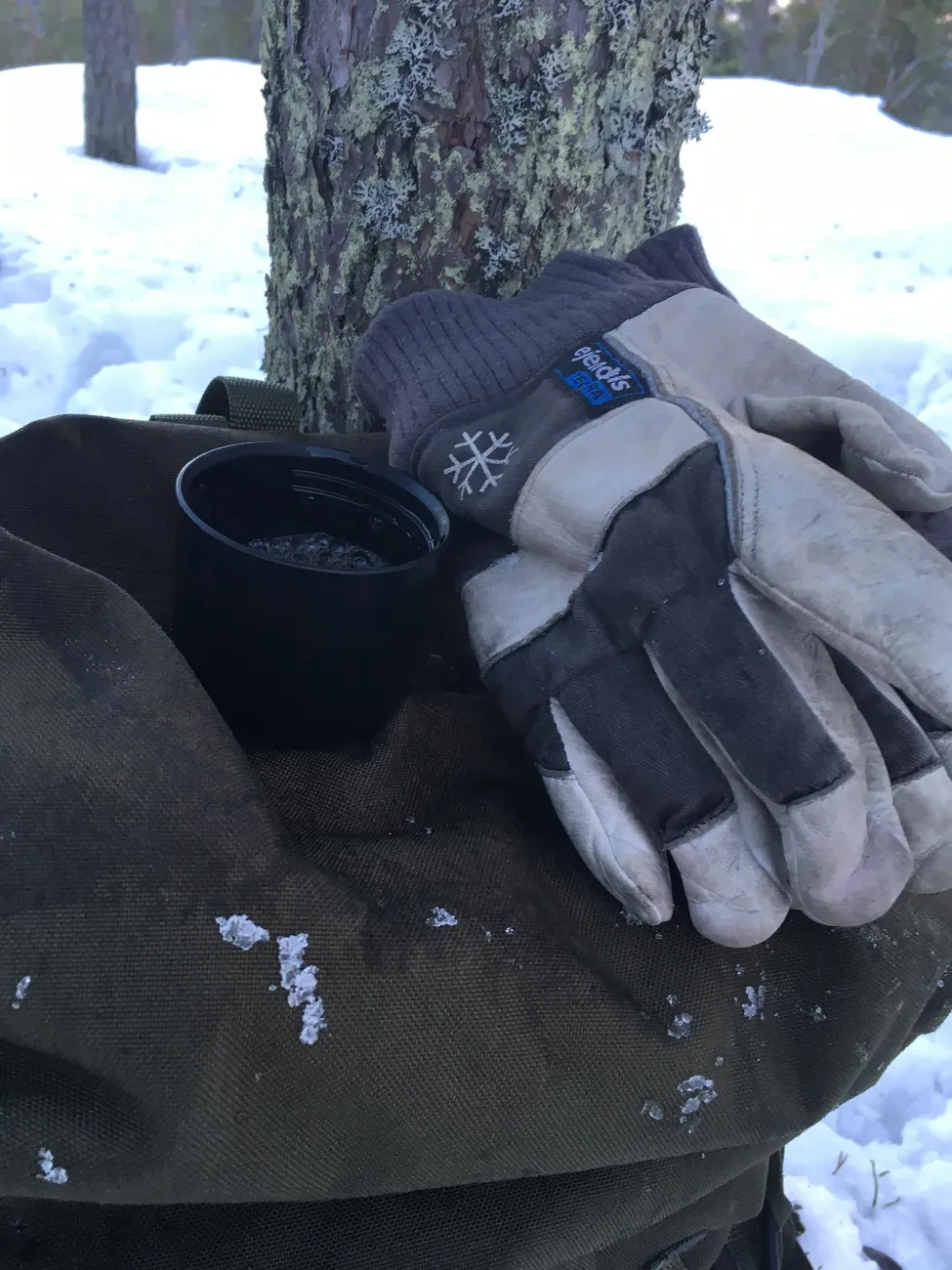 Klicka för att förstora